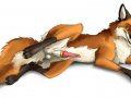 fourleggerfox.jpg